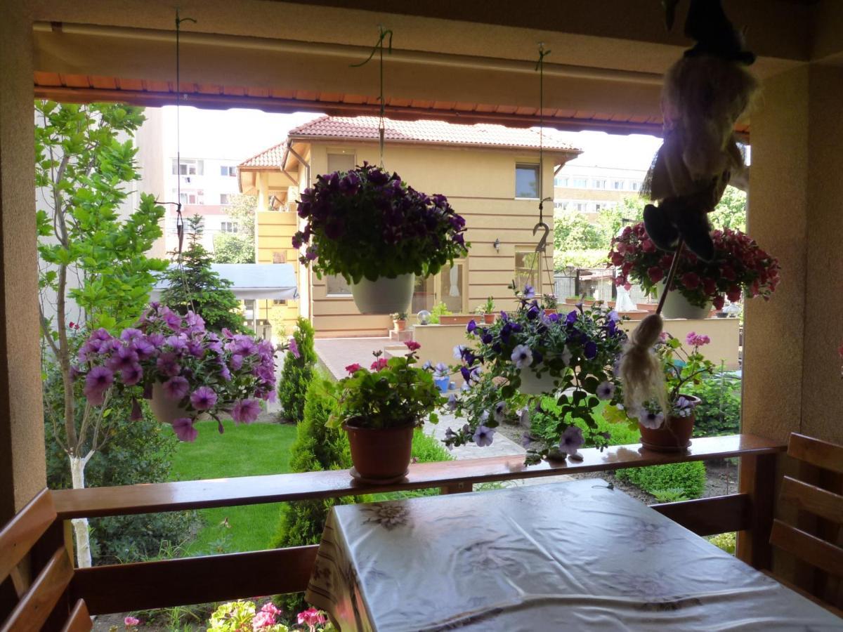 Casa Edwin Bed & Breakfast Constanta Ngoại thất bức ảnh